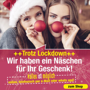 Corona Weihnachts Banner_2020_1200 x 1200pix3
