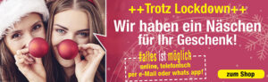 Corona Weihnachts Banner_2020_720x2203